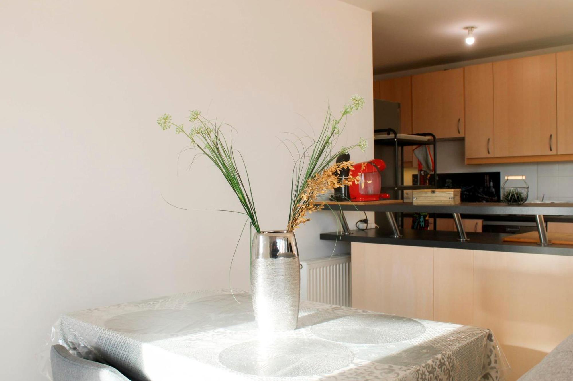 3-Rooms Apartment With Wifi And Balcony 圣但尼 外观 照片